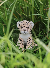 Load image into Gallery viewer, Cuddle Cub Leopard CC24112L 4