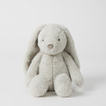 Load image into Gallery viewer, Jiggle & Giggle Grey Bunny Medium JCST447 1