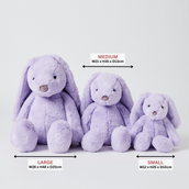 Load image into Gallery viewer, Jiggle & Giggle Lilac Bunny Large JCST472 3