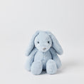 Load image into Gallery viewer, Jiggle & Giggle Pale Blue Bunny Small JCST473 1