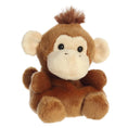 Load image into Gallery viewer, Palmpals Boomer Monkey AU33857 2