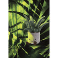 Load image into Gallery viewer, Jellycat Amuse Aloe Vera Big A2AV 2