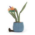 Load image into Gallery viewer, Jellycat Amuse Bird of Paradise A2BOP 3