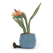 Load image into Gallery viewer, Jellycat Amuse Bird of Paradise A2BOP 3