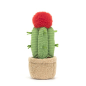 Load image into Gallery viewer, Jellycat Amuseables Moon Cactus A6MCA 4