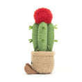 Load image into Gallery viewer, Jellycat Amuseables Moon Cactus A6MCA 3