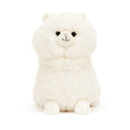 Load image into Gallery viewer, JELLYCAT CARISSA PERSIAN CAT CAR3PC 1