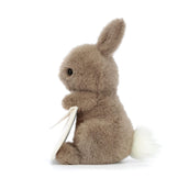 Load image into Gallery viewer, Jellycat Messenger Bunny MES6B 4