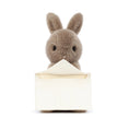 Load image into Gallery viewer, Jellycat Messenger Bunny MES6B 2