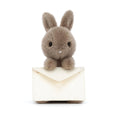 Load image into Gallery viewer, Jellycat Messenger Bunny MES6B 1