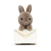 Load image into Gallery viewer, Jellycat Messenger Bunny MES6B 1
