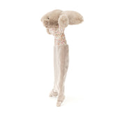 Load image into Gallery viewer, JELLYCAT BLOSS BEA BEIGE BUNNY COMFORTER BBC4BB 2
