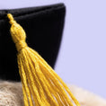 Load image into Gallery viewer, Jellycat Bashful Bunny Graduation Outfit BAS3GRAD 2
