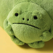 Load image into Gallery viewer, Jellycat Ricky Rain Frog Pouch RR4P 2
