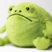 Load image into Gallery viewer, Jellycat Ricky Rain Frog RR3F 2
