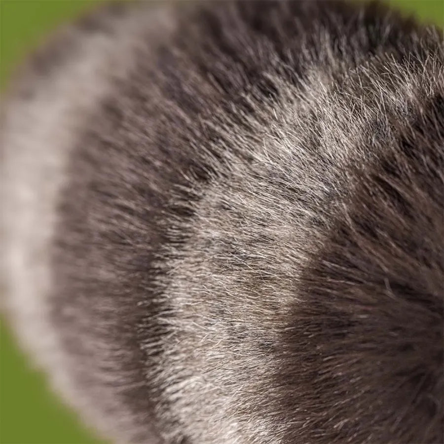 Jellycat Trixiwoo Raccoon RA3CN 2