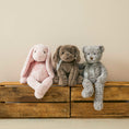 Load image into Gallery viewer, Jiggle & Giggle Darcy the Comfort Bear JCST314 6
