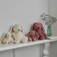 Load image into Gallery viewer, Jiggle & Giggle Floral Raspberry Bunny Rattle Small JCBR409 2
