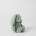 Load image into Gallery viewer, Jiggle & Giggle Green Bunny Small
