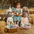 Load image into Gallery viewer, Jiggle & Giggle Grey Bunny Small JCST387 3
