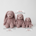 Load image into Gallery viewer, Jiggle & Giggle Mauve Bunny Small JCST440 3
