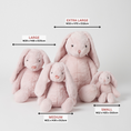 Load image into Gallery viewer, Jiggle & Giggle Pink Bunny Small JCST349 7
