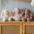 Load image into Gallery viewer, Jiggle & Giggle Pink Bunny Small JCST349 4
