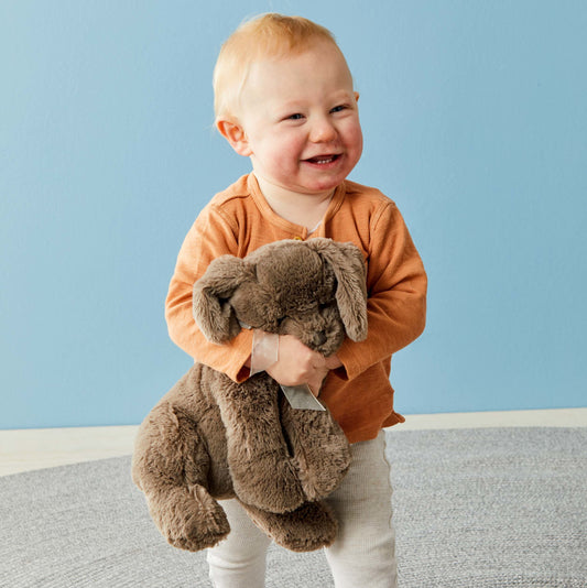 Jiggle & Giggle Sammy the Comfort Puppy JCST361 2
