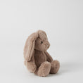 Load image into Gallery viewer, Jiggle & Giggle Taupe Bunny Small JCST352 2
