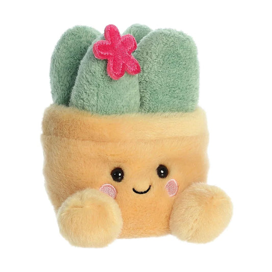 Palmpals Seyla Succulent AU33906 2