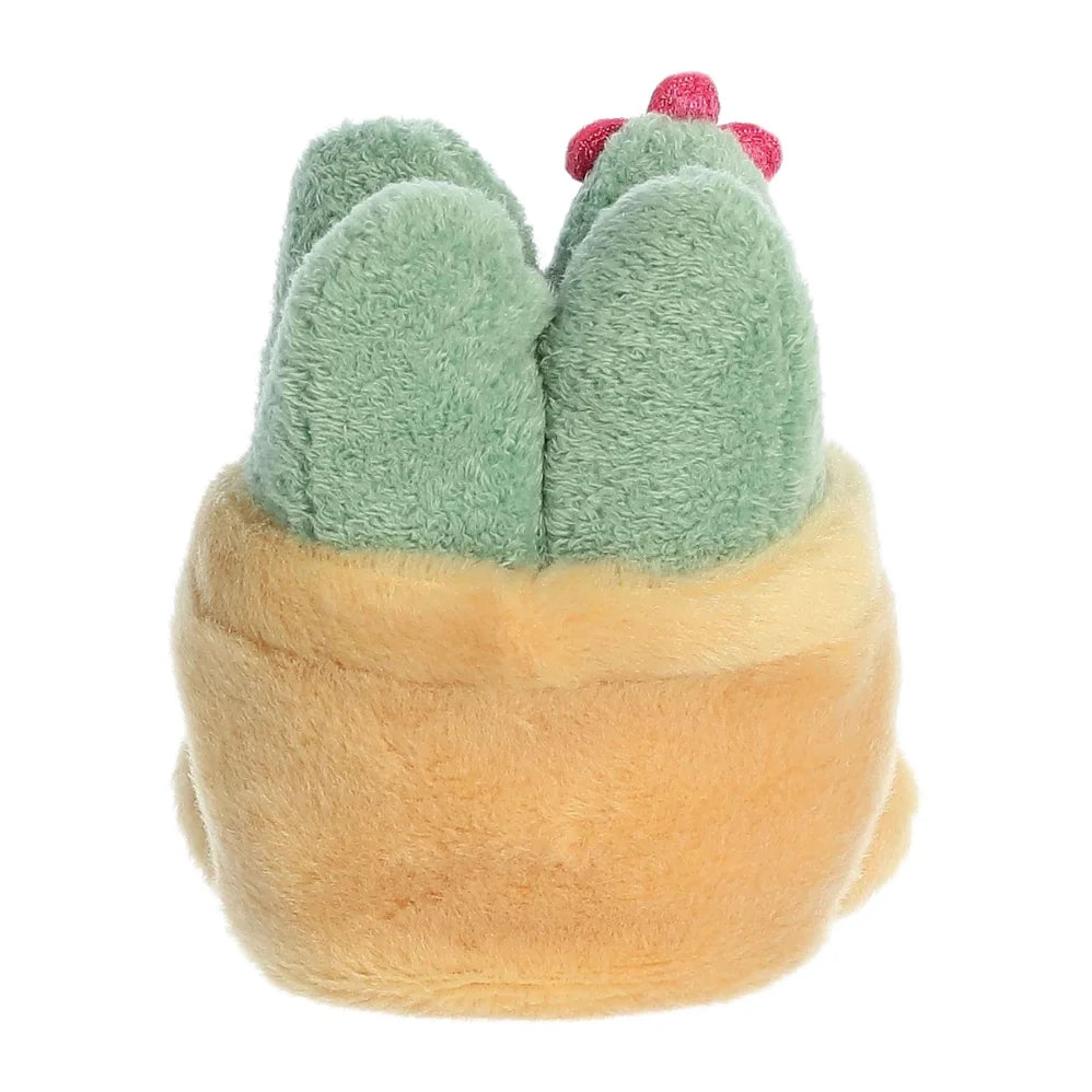 Palmpals Seyla Succulent AU33906 5