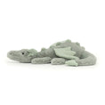 Load image into Gallery viewer, Jellycat Sage Dragon Medium SAGE2DDN 3
